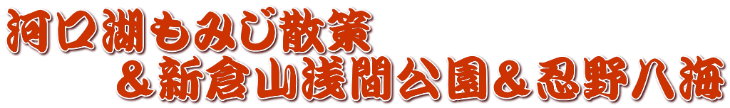 河口湖もみじ散策 　　　＆新倉山浅間公園＆忍野八海