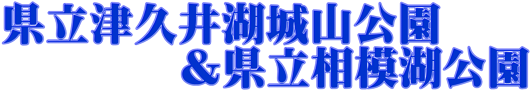 県立津久井湖城山公園 　　　　＆県立相模湖公園