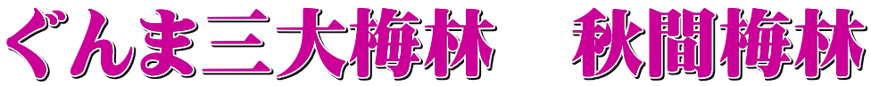 ぐんま三大梅林　秋間梅林