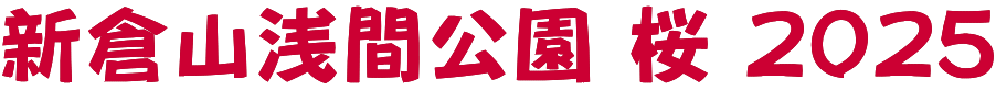 新倉山浅間公園 桜 ２０２５