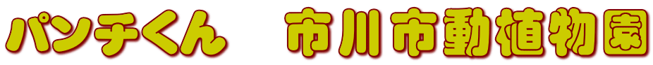 パンチくん　市川市動植物園