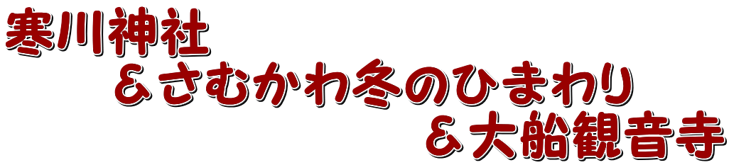 寒川神社 　　＆さむかわ冬のひまわり 　　　　　　　　＆大船観音寺