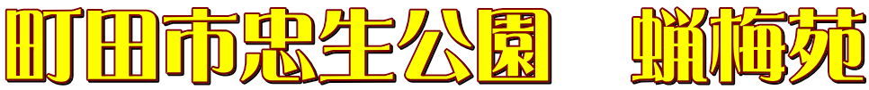 町田市忠生公園　蝋梅苑