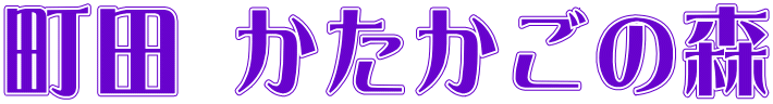 町田 かたかごの森