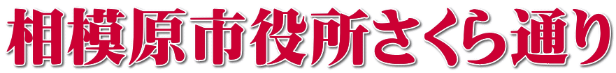 相模原市役所さくら通り