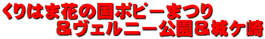 くりはま花の国ポピーまつり 　　　＆ヴェルニー公園＆城ケ崎