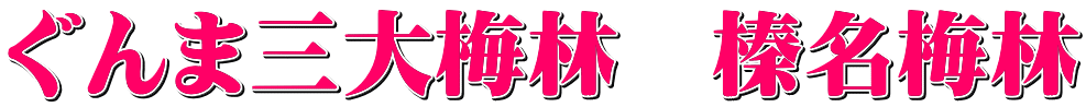 ぐんま三大梅林　榛名梅林