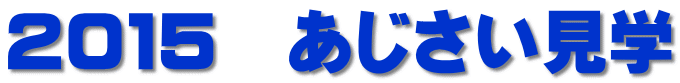 ２０１５　あじさい見学