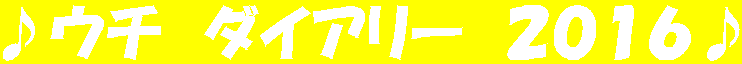 ♪ウチ　ダイアリー　２０１６♪