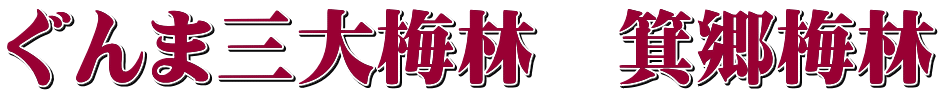 ぐんま三大梅林　箕郷梅林