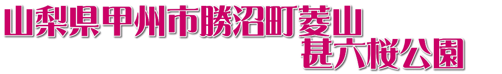 山梨県甲州市勝沼町菱山　 　　　　　　　　　甚六桜公園　