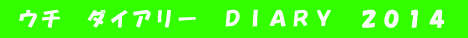  ウチ　ダイアリー　ＤＩＡＲＹ　２０１４ 