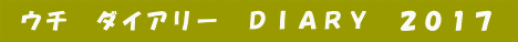  ウチ　ダイアリー　ＤＩＡＲＹ　２０１７ 