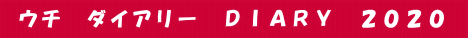  ウチ　ダイアリー　ＤＩＡＲＹ　２０２０ 