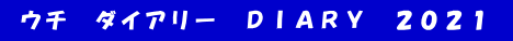  ウチ　ダイアリー　ＤＩＡＲＹ　２０２１ 