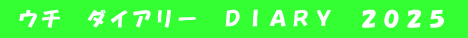  ウチ　ダイアリー　ＤＩＡＲＹ　２０２５ 