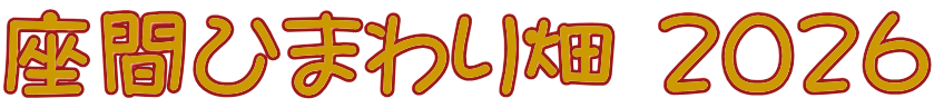 座間ひまわり畑 ２０２６