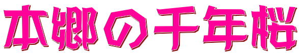 本郷の千年桜