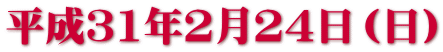 平成３1年２月２４日（日）