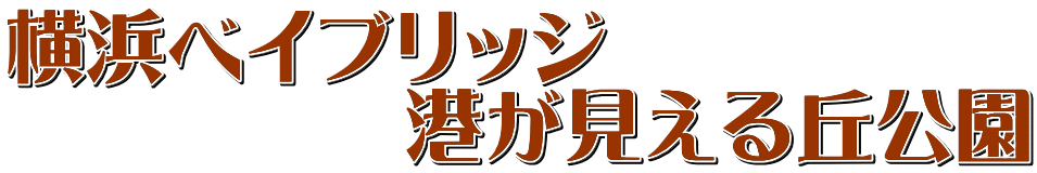 横浜ベイブリッジ 　　　　　港が見える丘公園