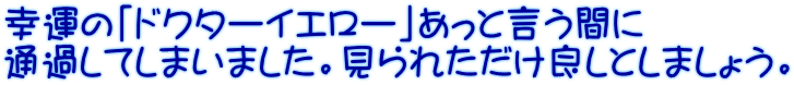 幸運の「ドクターイエロー」あっと言う間に 通過してしまいました。見られただけ良しとしましょう。