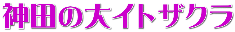 神田の大イトザクラ